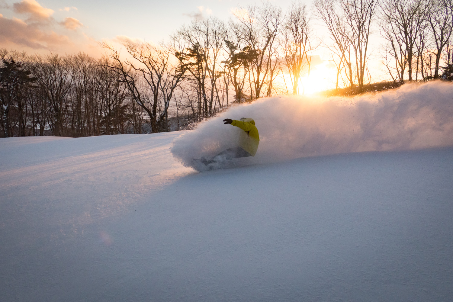 星野磐梯 ALTS BANDAI